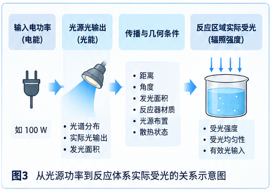 图3 从光源功率到反应体系实际受光的关系示意图