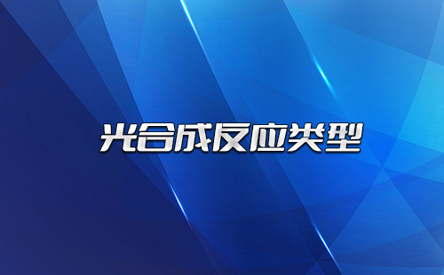 光合成反应类型